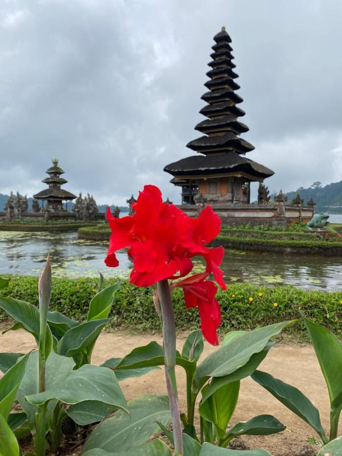 Wina Ubud B&B Экстерьер фото